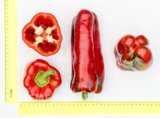 Перец сладкий Ливадия - Партнер фото 4